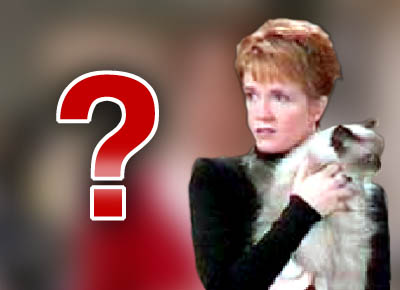 Ultimate Caroline in the City Quiz